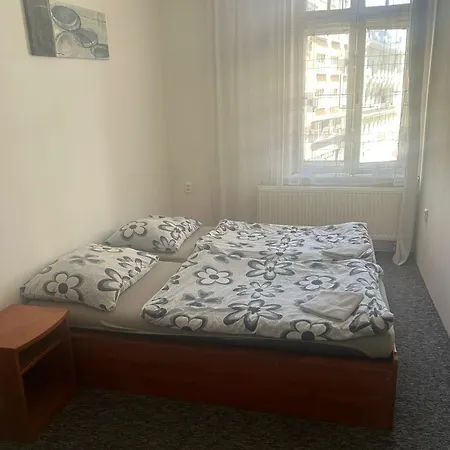 게스트하우스 Loftel V Centru Ostravy *